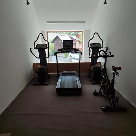 Ivi's Alpine Apartman